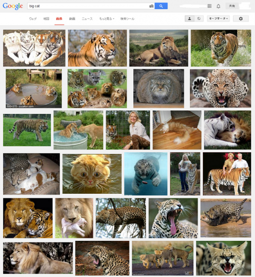 googleでbig catを画像検索したウィンドウ