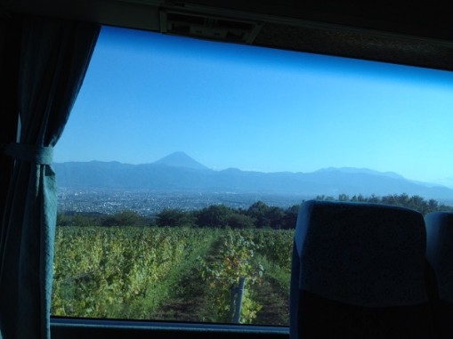 富士山とブドウ畑