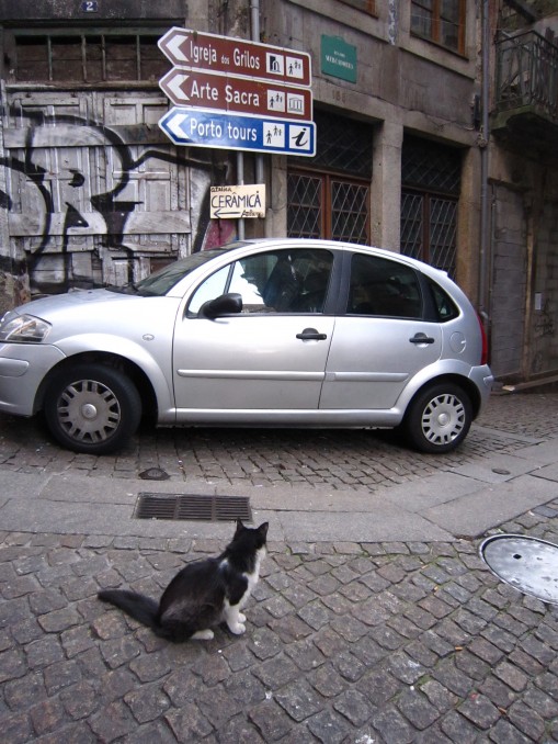 ＠ポルト、ポルトガル　　猫は路地が似合う