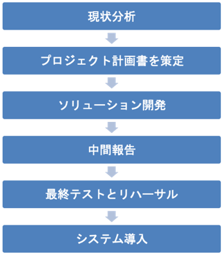 現状分析、プロジェクト計画書を策定、ソリューション開発、中間報告、最終テストとリハーサル、システム導入